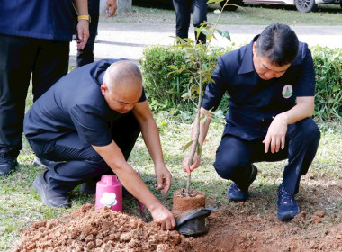 ลงพื้นที่ตรวจราชการนิคมสหกรณ์ทุ่งสง ... พารามิเตอร์รูปภาพ 31